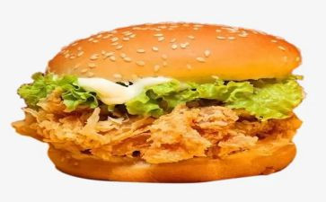 吃汉堡的作文5篇