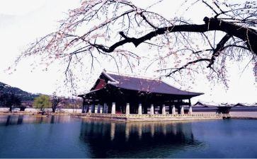 韩国之旅作文8篇