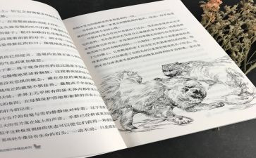 黑焰的读后感五百字8篇