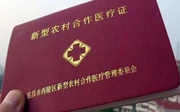 关于合疗的调研报告7篇