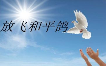 和平作文7篇
