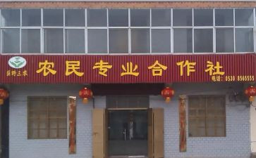 合作社的工作总结7篇