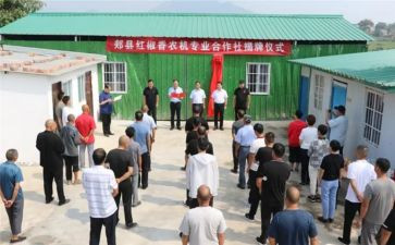 2024年合作社调研报告7篇
