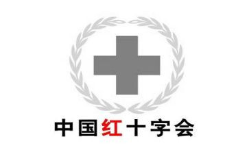 2024红十字工作总结5篇
