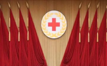 2024年红十字工作总结6篇