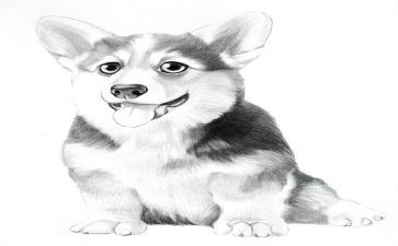 一年级上册语文《画》教案模板8篇