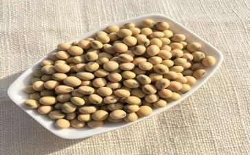 黄豆的作文推荐5篇