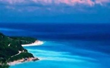 英语环境类作文6篇