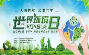环境日主题活动总结精选8篇