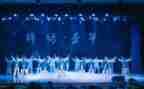 元旦活动汇演活动策划5篇