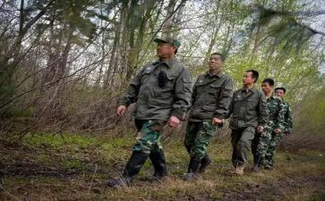 护林员工作个人总结6篇