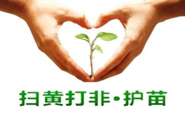 2024护苗行动观后感6篇