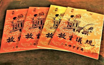 用生命守护生命演讲稿8篇