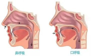 呼吸内科进修自我鉴定5篇