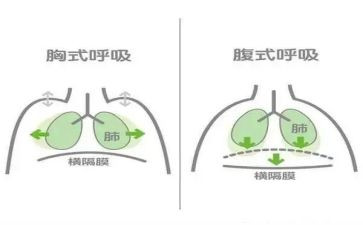 呼吸科护士的工作计划5篇