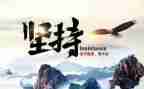 坚持而做成功的事作文8篇