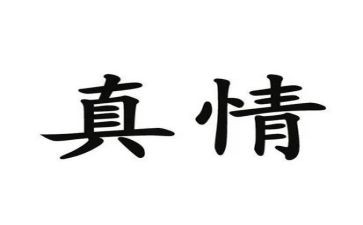 真情的作文300字8篇