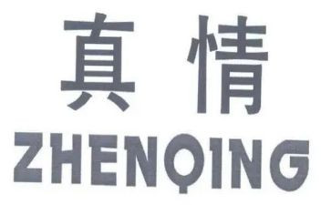 真情类作文模板5篇