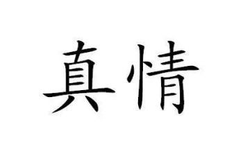 写真情的作文500字优秀6篇