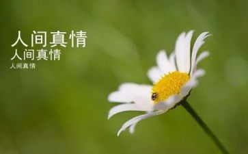 年级让真情自然流露作文精选5篇