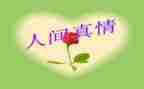 真情类的作文参考7篇