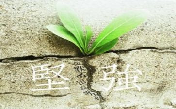 学会坚强作文5篇