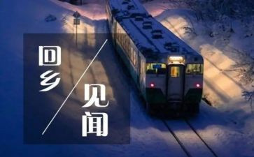 假期见闻作文800字5篇