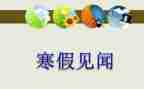 国庆节见闻作文600字作文7篇