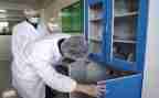 检验师试用期个人总结5篇