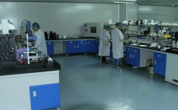 检验室的工作总结优质6篇
