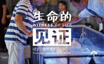 见证的观后感7篇