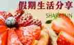 假日活动方案5篇