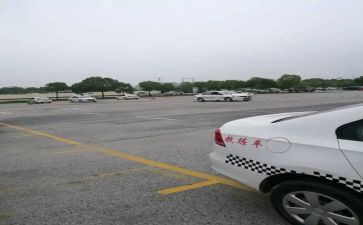 驾校的工作总结6篇