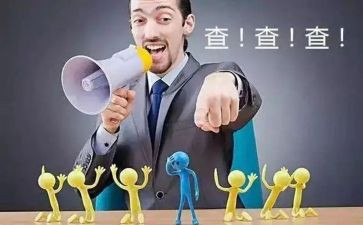 2024稽查工作总结8篇
