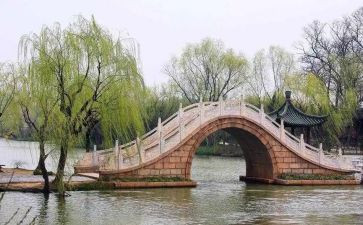 借景抒情的作文800字7篇