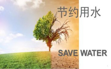 节约粮演讲稿8篇