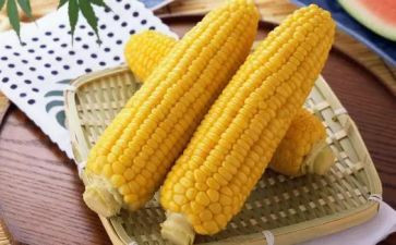 关于玉米作文6篇