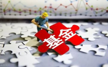基金的心得体会6篇