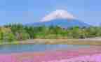 风景500字作文推荐7篇