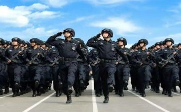 2024年度警察个人总结7篇