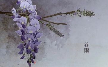 有关二十四节气的作文7篇