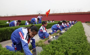 清明祭扫活动心得6篇