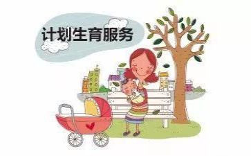 计生协会2024年工作总结精选7篇