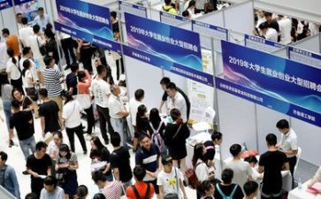 大学就业工作总结6篇