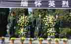 清明祭英烈心得体会作文5篇