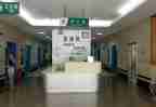 2024年急诊护理半年工作总结6篇