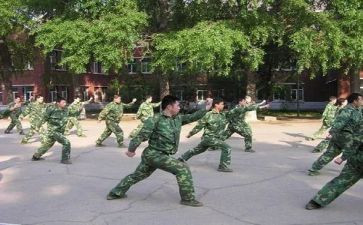 学军体拳心得体会5篇