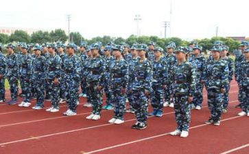 军训3天心得体会500字8篇