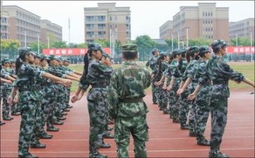 800字的军训心得体会7篇