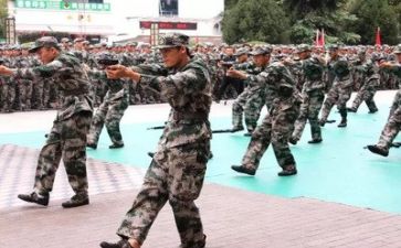 军训心得体会800字作文6篇